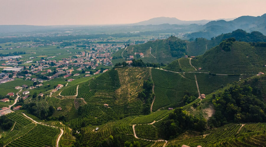 colline del Prosecco
