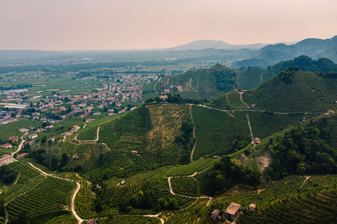 colline del Prosecco